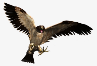 Wild Life Fs Art 06 - Transparent Wild Animals Png