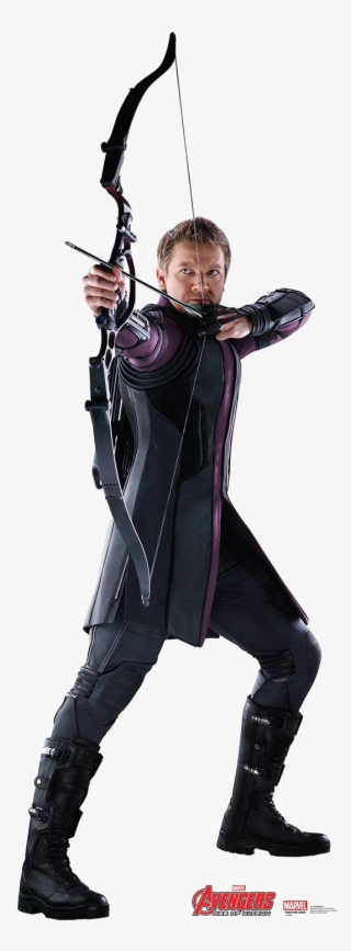 Hawkeye Png High-quality Image - Hawkeye Png