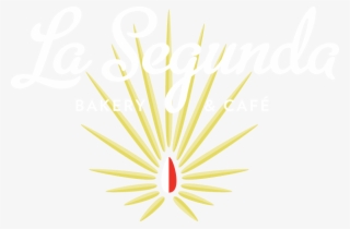 Lasegunda White Core B Db Website