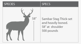 A Rifle Of Relatively High-striking Energy Should Be - Cat