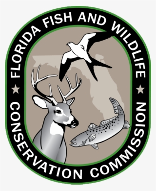Florida Fish And Wildlife Conservation Commission