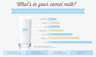 Provides A Cow Milk Alternative - You Had The Power All Along My Dear Magnetic Bumper