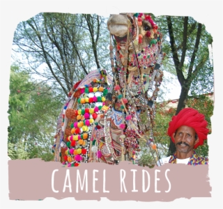 Camel Rides, Competitions And Fun