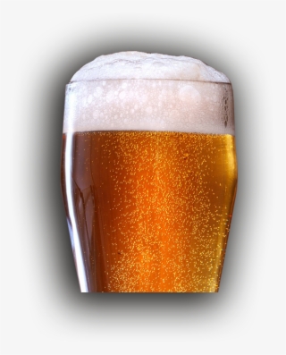 Contact Us - Lager