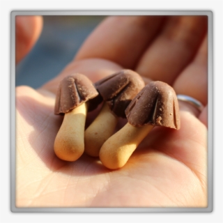 Abcdeat Christmas Box Unboxing Review Subscriptionbox - Snack