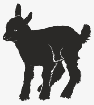 Goat-2262099evq Wsz 960 720 - Baby Goat Silhouette