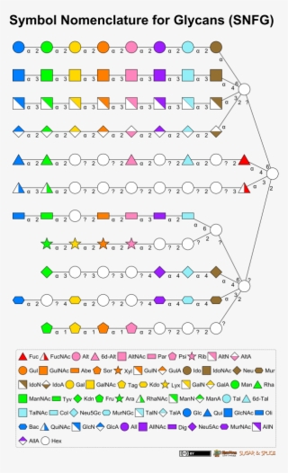 However, Such A Diverse Set Of Monosaccharide Symbols - Diagram