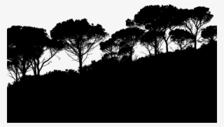 Free Nature Png Black And White - Steam Drills, Treadmills, And Shooting Stars - A Story