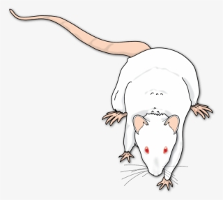 3 - 7 - - Illustration