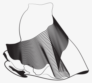 Nuevo Leon - Illustration