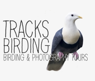 All Rights Reserved - Logo