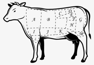 Butchers Cow Diagram