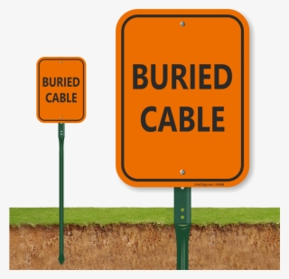 Zoom - Buy - No Feed To Birds