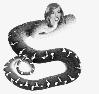 Say Goodbye To The Old Taylor Swift, An Innocent Teenager - Snake Transparent Background