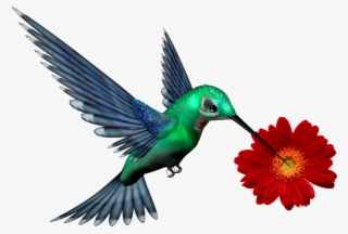 Previous - Editing New Pngs