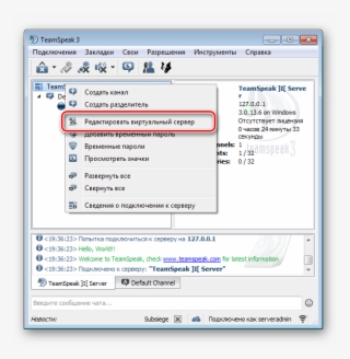 Редактировать Виртуальный Сервер Teamspeak - Google Chrome Apple Computer