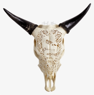 Carved Cow Skull - Laser Engraver Cow Skull