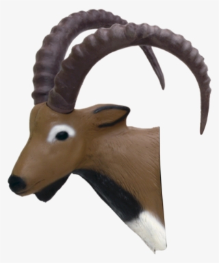 Ibex 3d Archery Target Replacement Head - Delta Mckenzie Outdoor Hunting 21760 Pro 3d - Ibex