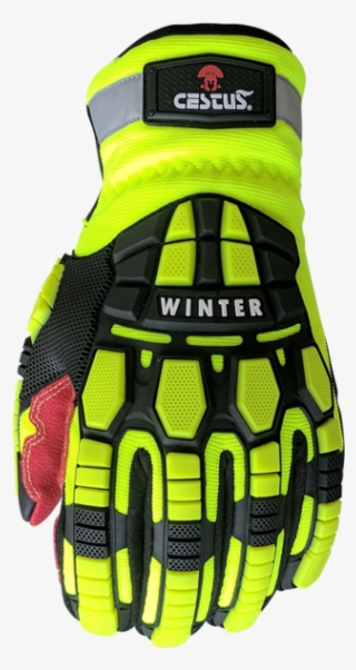 Glove