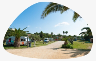 Camping Con Area Camper E Caravan - Sporting Club Village