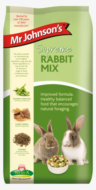 Rabit Png