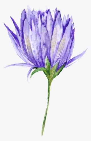 Purple Black Flower Branch Transparent Decorative - Fondo Blanco Flores Pintados