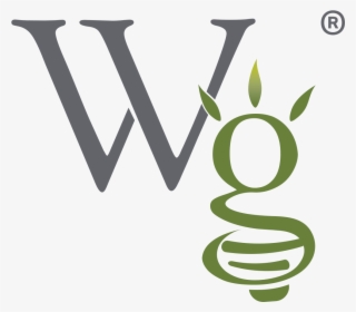 Microsoft Windows 2.0 Logo