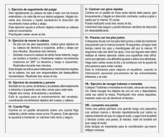 Programa De Rehabilitación Vestibular Entregado A Grupo - Vestibular System