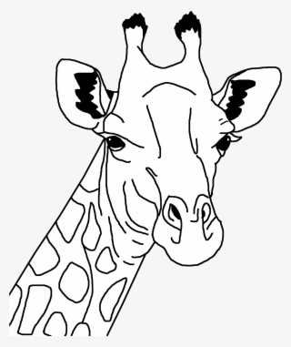 This Free Icons Png Design Of Giraffe Line Art