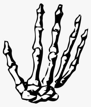Thumb Image - Skeleton Hand No Background