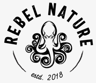 Rn Logos-01