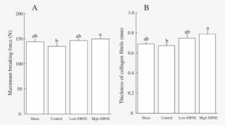 Maximum Breaking Force Of The Femur And Thickness Of - Monochrome