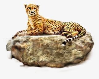 Cheetah Png Images Bulk - Encyclopedia Of Animals [book]