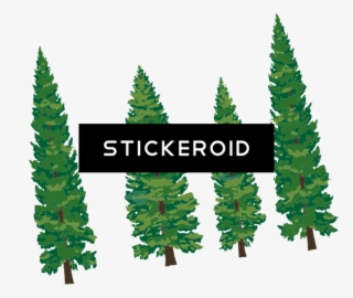 Fir-tree - Green