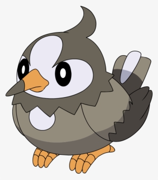 396starly Dp Anime - Draw Pokemon Starly