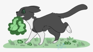 Cartoon Moss Png - Jpeg