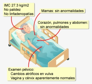 Historial Médico Sin Datos De Importancia, No Usa Drogas - Diagram