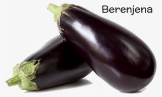Aubergine