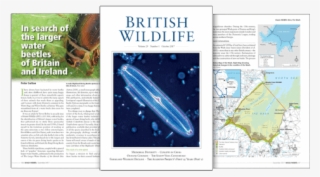 Go To British Wildlife - Atlas