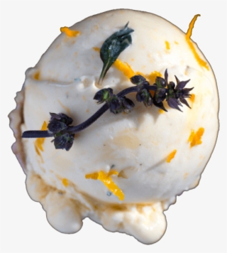 Thai Basil And Mandarin - Insect