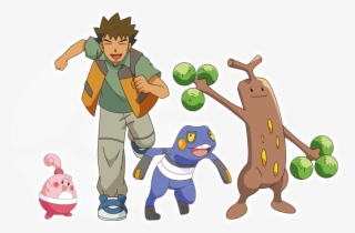 Croagunk - Happiny - Sudowoodo - Pokemon: Season 13 - Diamond & Pearl Sinnoh League