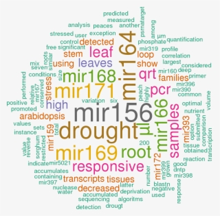 Stem Loop Sequence Ppe Mir395i - Word Cloud In R Studio