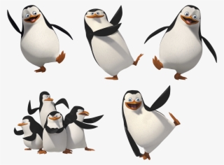 Madagascar Penguins Png Image - Penguin Of Madagascar Png