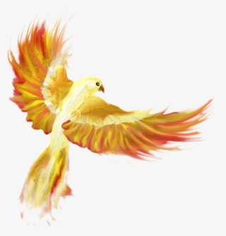 Firebird Png - Cat