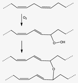 El Doble Enlace De Otro Ácido Graso Formando Un Polímero - Oxidação Do Ácido Linoleico