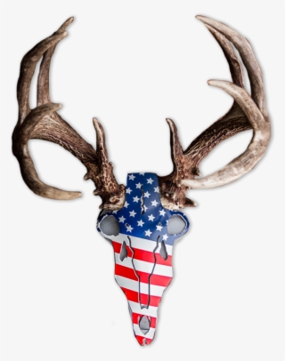 Abam5 America Buck - Reindeer
