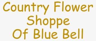 Country Flower Shoppe - City Girl Country Heart Greeting Cards (pk