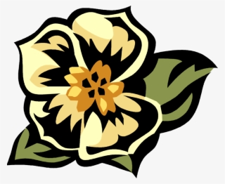 Picture Freeuse Library Morning Glory Flowering Image