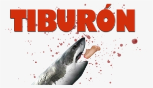 Jaws Image