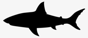 Shark, Jaws, Fish, Great, Tattoo Shark Jaws, Make A - Shark Silhouette Png